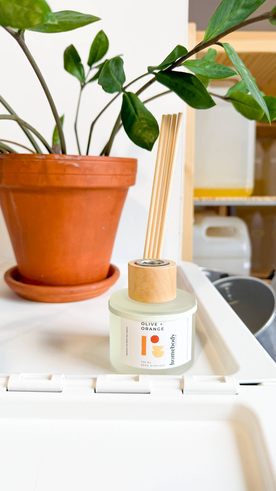 Aurora Borealis • reed diffuser